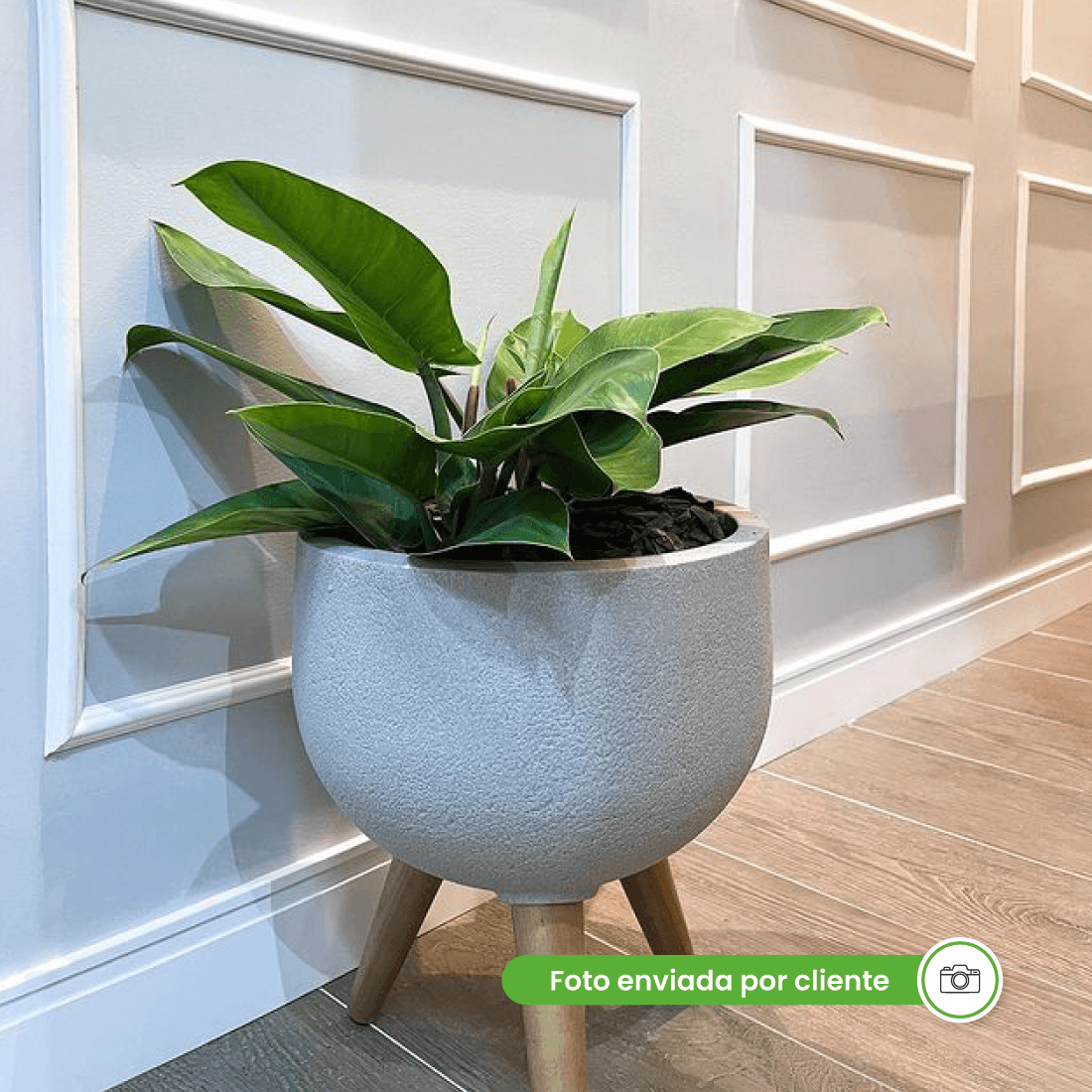 Savaime prilimpantis EVA cokolis RP16