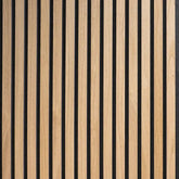 Akustinis sieninis skydelis – garso sugeriantis (270 × 110 cm)